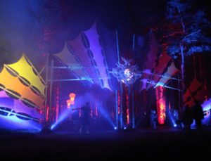 electricforest
