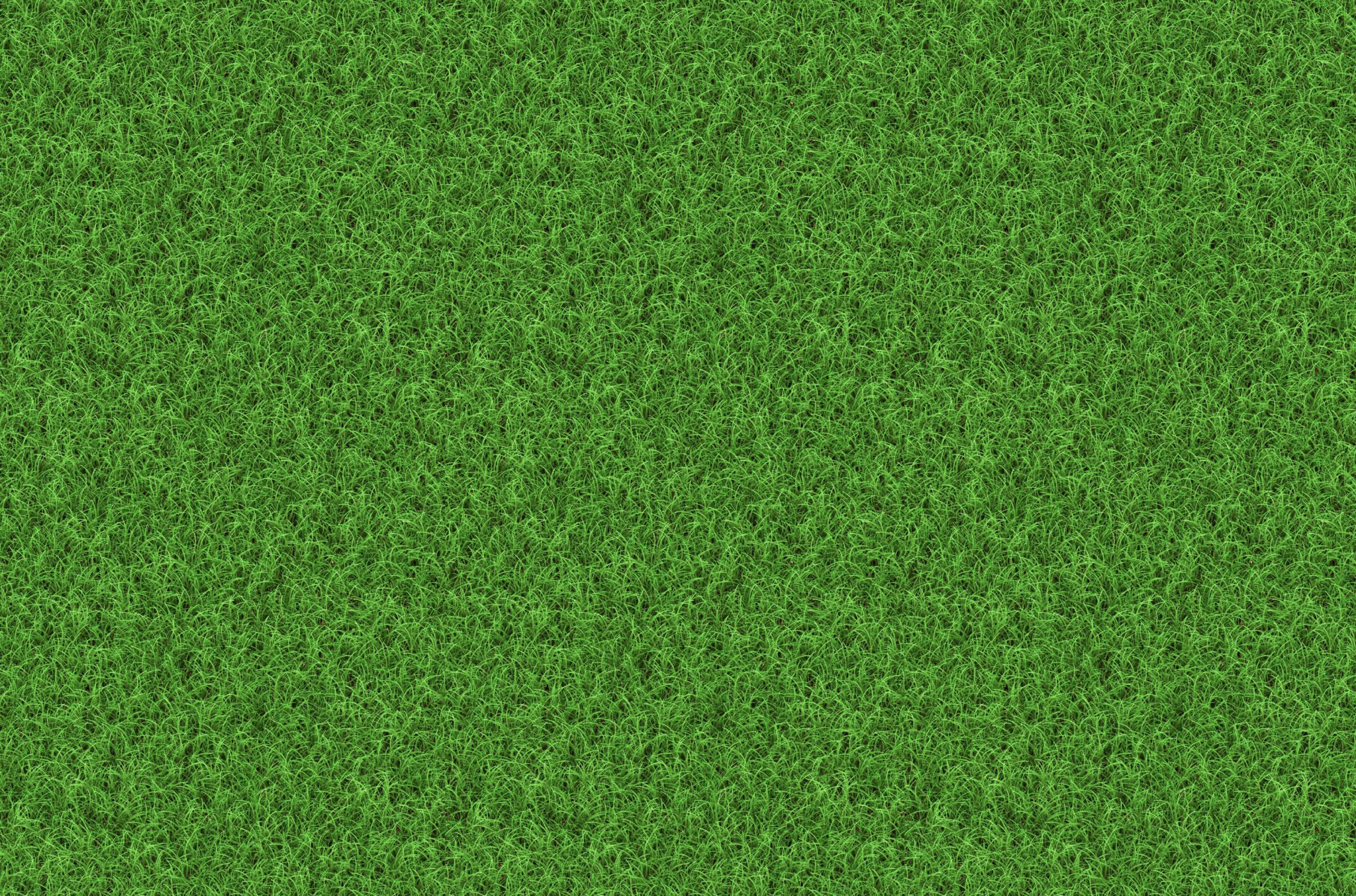 grass free texture 1