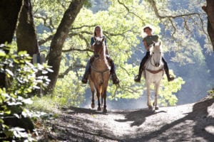 horseback riding lake michigan