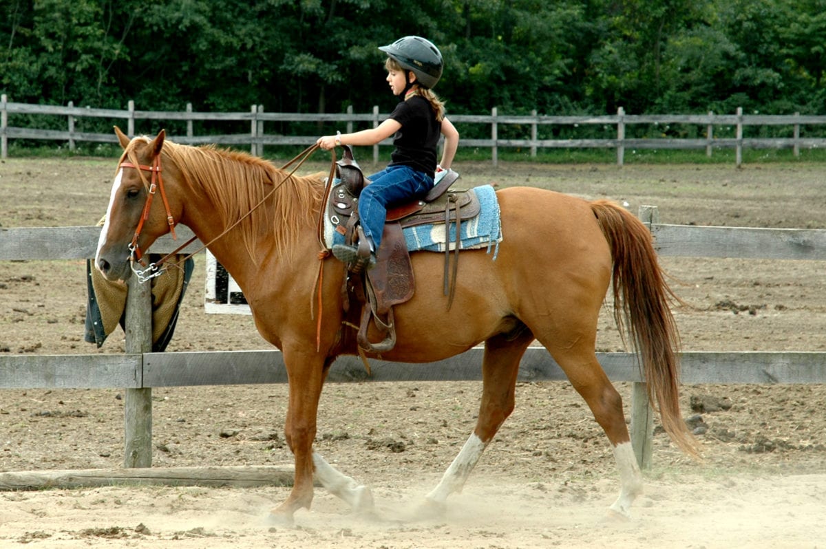 Horseback Riding Michigan Ranch Resort and Waterpark Double JJ