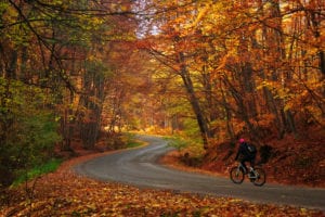 fall activities in Michigan