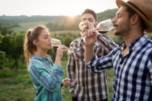 People sipping wine on Michigan Wine Trail