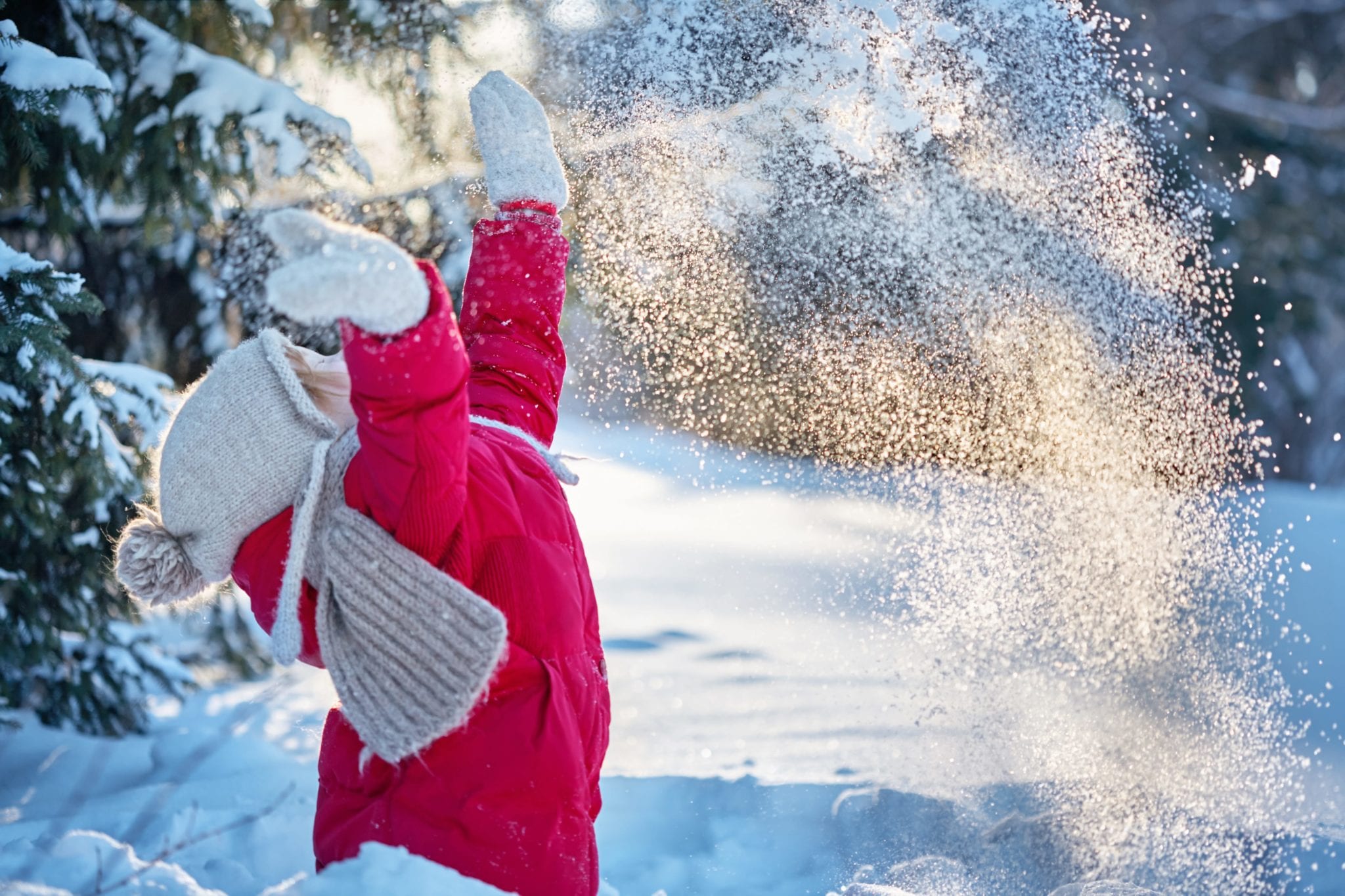 child in the winter forest. Around the snow and branches of fir