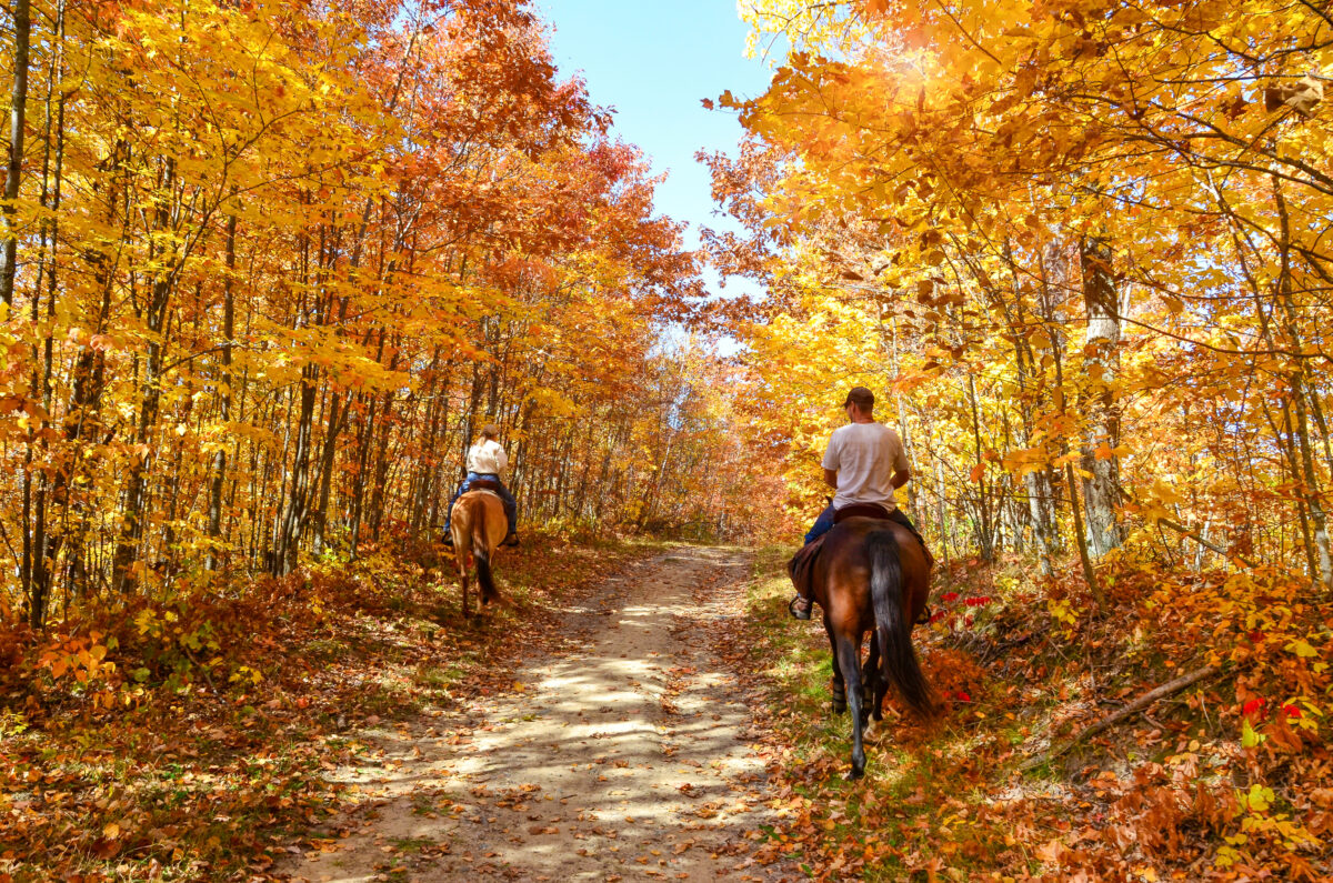 Horseback Riding Trails & Stables - Double JJ Resort