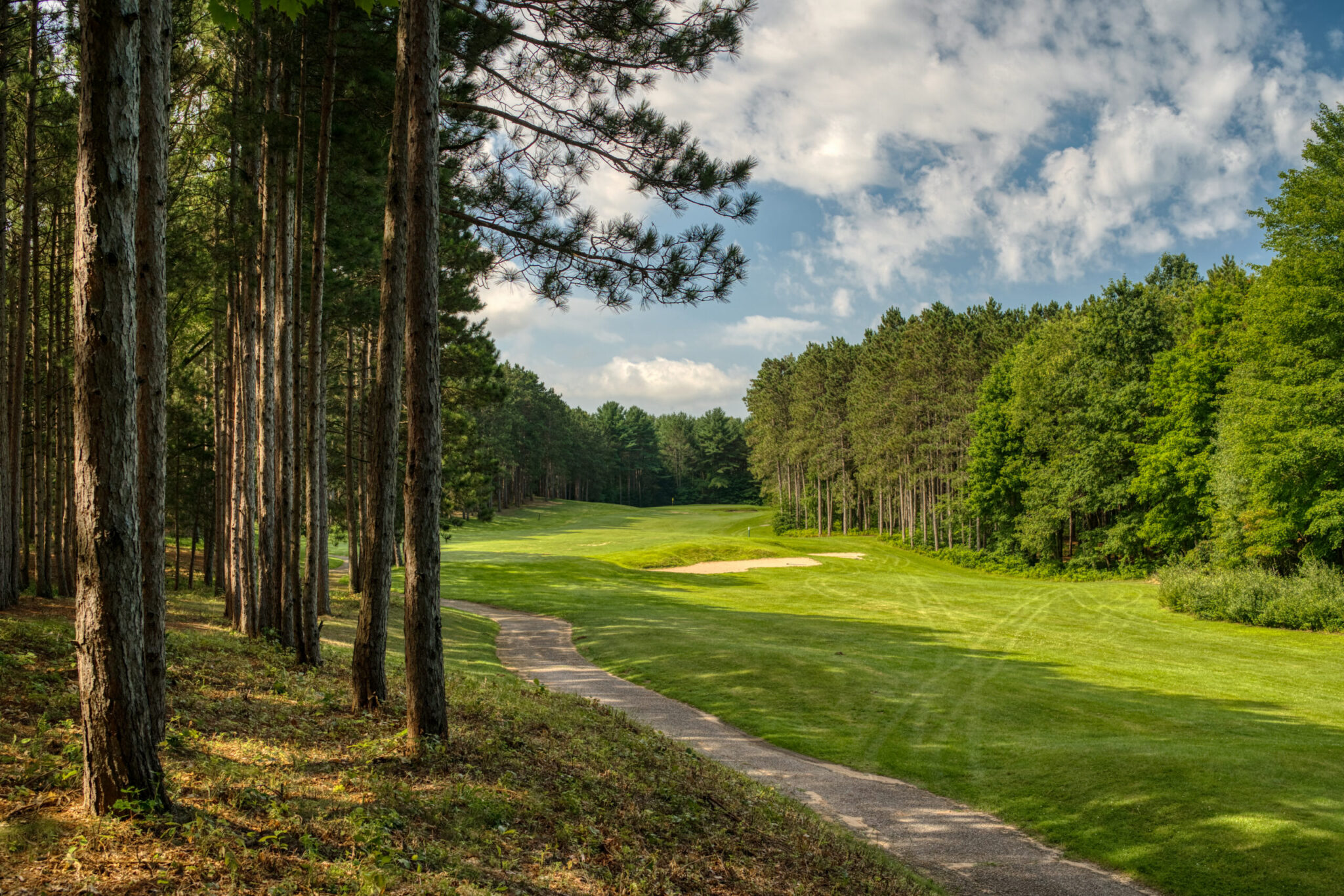 Golf hole lined with trees